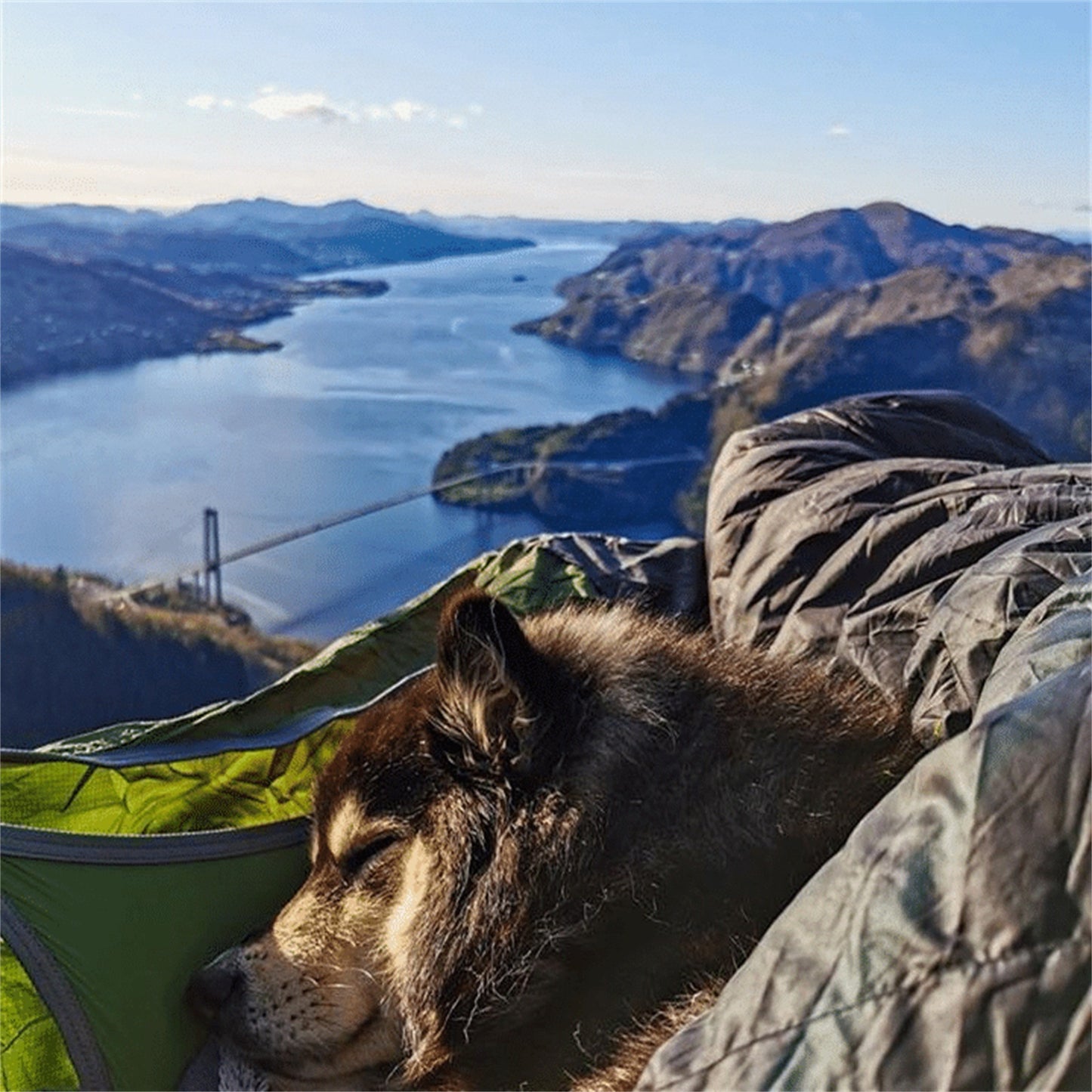 The Home Flat Hammock Tent With Bug Net And Suspension Kit Great For All Year Round Camping